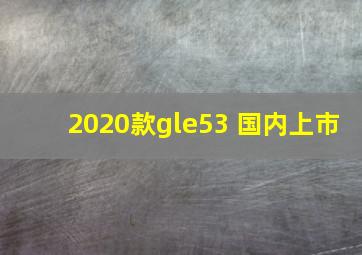 2020款gle53 国内上市